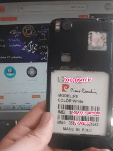 فایل فلش فارسی pierre cardin p8