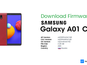 فایل فلش A013F | A01 CORE باینری 6 اندروید 10