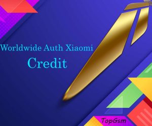 کردیت Worldwide Auth Xiaomi